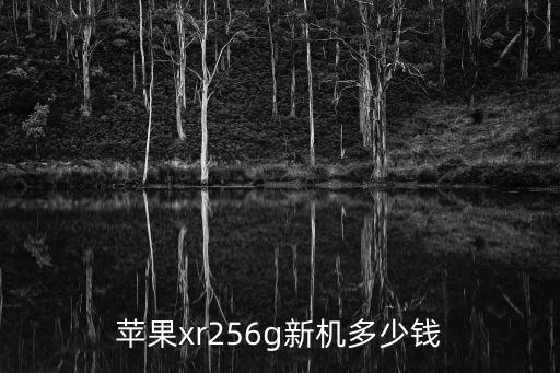 蘋果xr256g新機(jī)多少錢
