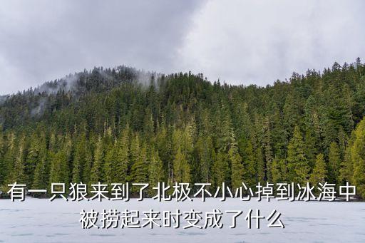 有一只狼來(lái)到了北極不小心掉到冰海中被撈起來(lái)時(shí)變成了什么