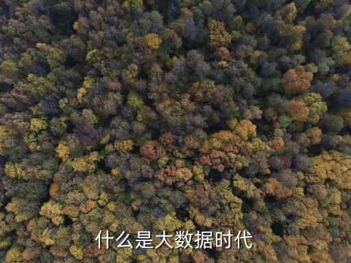 有人這樣描述大數(shù)據(jù),大數(shù)據(jù)專業(yè)描述