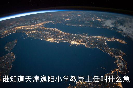 誰知道天津逸陽小學(xué)教導(dǎo)主任叫什么急