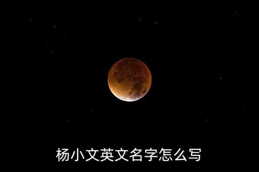 楊小文英文名字怎么寫
