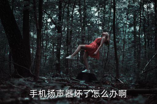 手機(jī)揚聲器壞了怎么辦啊