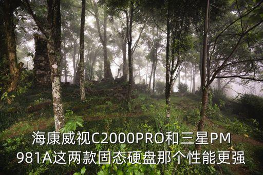 海康威視C2000PRO和三星PM981A這兩款固態(tài)硬盤那個性能更強