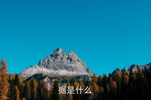 據(jù)是什么