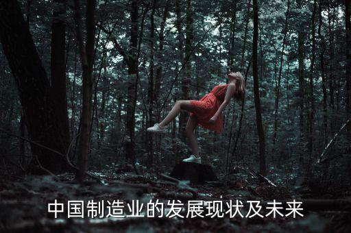 中國制造業(yè)的發(fā)展現(xiàn)狀及未來