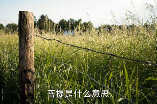 bodhi，BODHI是什么最近在產(chǎn)品上老看到這個(gè)標(biāo)志