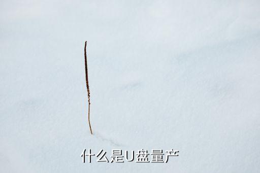 什么是U盤量產(chǎn)