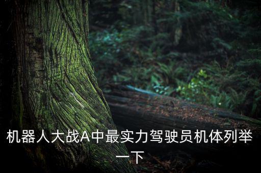 機(jī)器人大戰(zhàn)A中最實(shí)力駕駛員機(jī)體列舉一下
