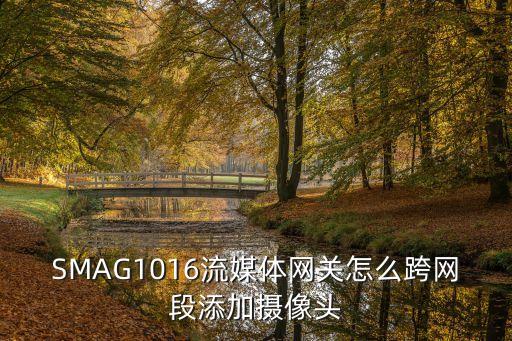 smag，道路標(biāo)志什么意思