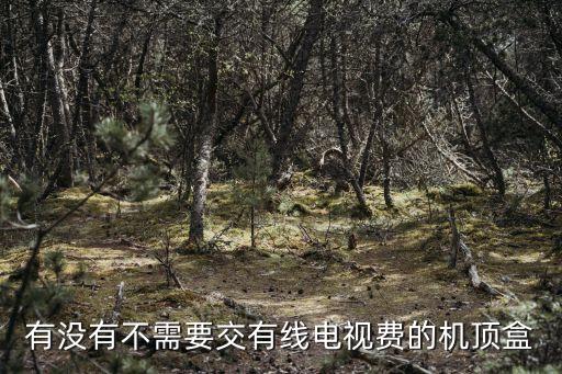有沒有不需要交有線電視費的機頂盒