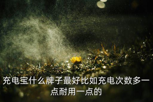 充電寶什么牌子最好比如充電次數(shù)多一點(diǎn)耐用一點(diǎn)的