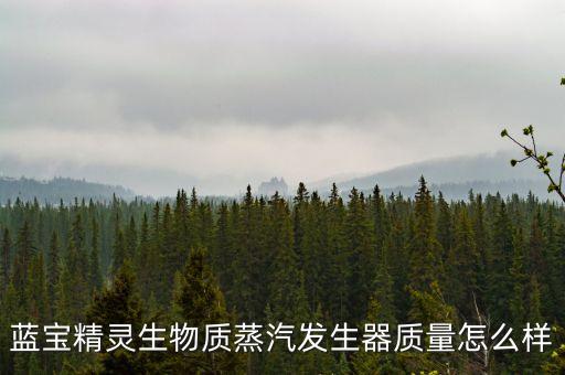 藍(lán)寶精靈生物質(zhì)蒸汽發(fā)生器質(zhì)量怎么樣