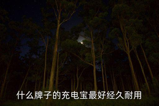 什么牌子的充電寶最好經(jīng)久耐用