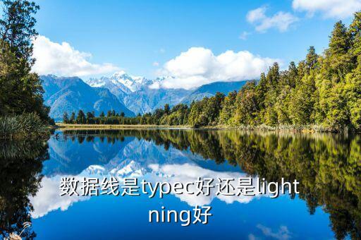新lightning數(shù)據(jù)線,c至閃電數(shù)據(jù)線