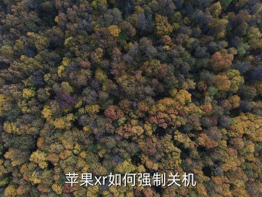 蘋果xr怎么關(guān)機(jī)，蘋果xr如何強(qiáng)制關(guān)機(jī)