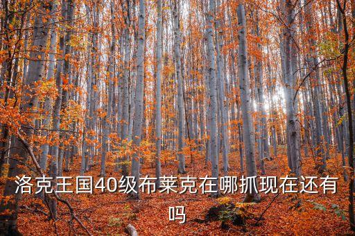 洛克王國40級布萊克在哪抓現(xiàn)在還有嗎