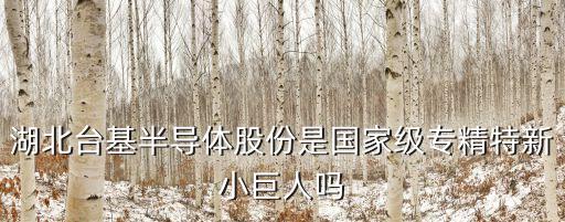 湖北臺基半導(dǎo)體股份是國家級專精特新小巨人嗎