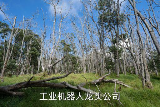圖靈機器人公司,深圳圖靈機器人有限公司