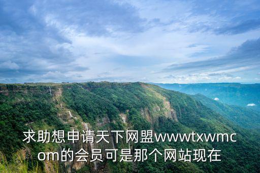 天下網(wǎng)盟，什么是天下網(wǎng)盟