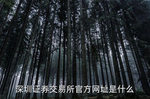 深圳證券交易所官方網(wǎng)址是什么