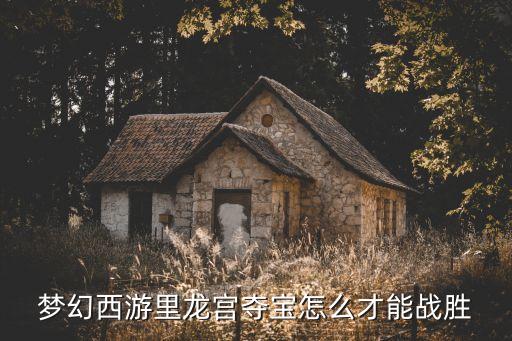 夢(mèng)幻西游里龍宮奪寶怎么才能戰(zhàn)勝