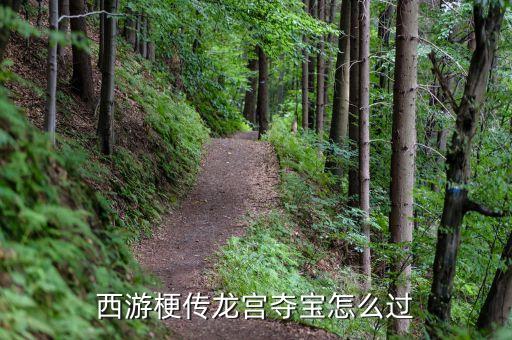 西游梗傳龍宮奪寶怎么過(guò)
