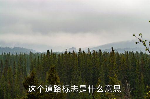 這個道路標志是什么意思