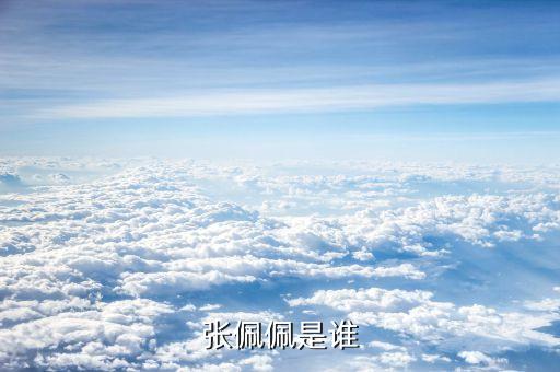 張佩佩是誰