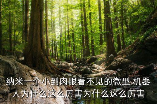 世上最小的機(jī)器人,目前最小的ABB機(jī)器人型號是