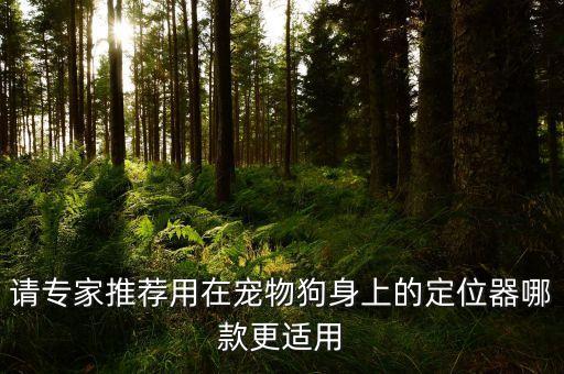 寵物定位器，寵物定位器哪個牌子比較好