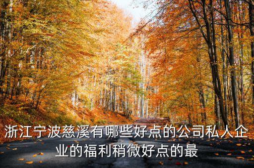 浙江寧波慈溪有哪些好點(diǎn)的公司私人企業(yè)的福利稍微好點(diǎn)的最