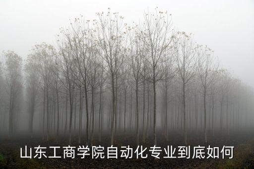山東工商學(xué)院自動化專業(yè)到底如何