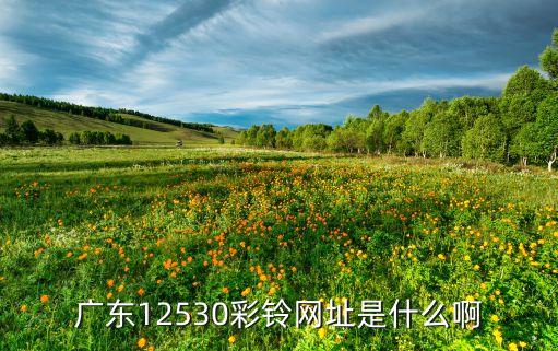 廣東12530彩鈴網(wǎng)址是什么啊