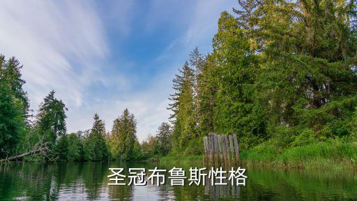 洛克王國布魯斯，圣冠布魯斯性格