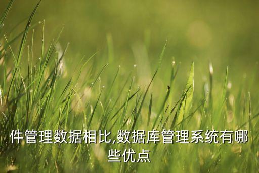 .net 大數(shù)據(jù) 數(shù)據(jù)庫,大數(shù)據(jù)nosql數(shù)據(jù)庫