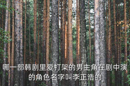 哪一部韓劇里愛打架的男主角在劇中演的角色名字叫李正浩的