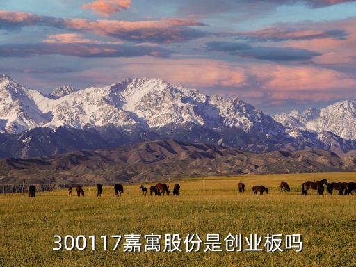 300117嘉寓股份是創(chuàng)業(yè)板嗎