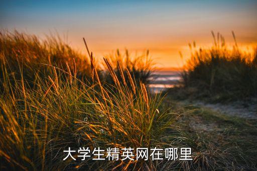 精英網(wǎng)，大學(xué)生精英網(wǎng)在哪里
