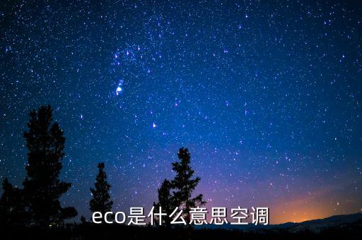 eco是什么意思空調(diào)