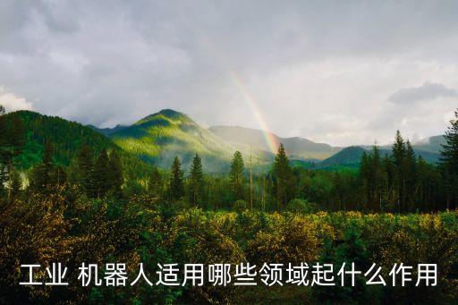 工業(yè) 機器人適用哪些領(lǐng)域起什么作用