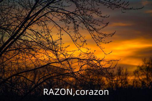 CORAZON,corazon