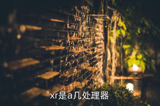 xr是a幾處理器