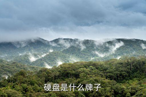 西部數(shù)據(jù)wd30ezrx,WD 3.0是什么意思?