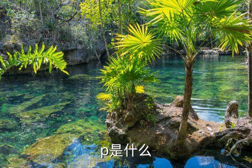 dip自動化相關設備,自動化設備app