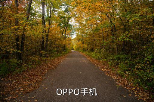 OPPO手機(jī)