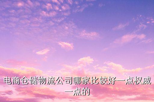 電商倉儲物流公司哪家比較好一點權威一點的