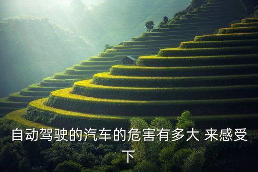 自動駕駛的汽車的危害有多大 來感受下