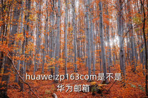 huaweizp163com是不是華為郵箱