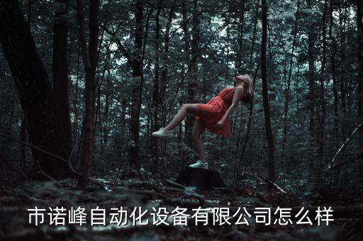 市諾峰自動(dòng)化設(shè)備有限公司怎么樣