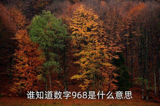 誰知道數(shù)字968是什么意思